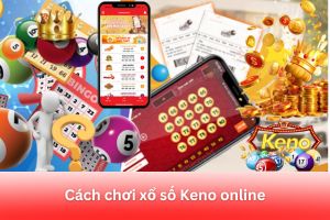 ảnh đại diện Hướng Dẫn Cách Chơi Xổ Số Keno online Cho Người Mới Bắt Đầu: Đơn Giản, Dễ Hiểu, Tỷ Lệ Thắng Cao