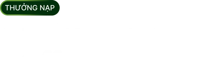 Khuyến Mãi Nạp 100% Lên Đến 20,000,000 VNĐ