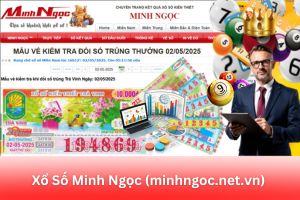 ảnh đại diện Xổ Số Minh Ngọc (minhngoc.net.vn) – Giải Pháp Cập Nhật Kết Quả Tin Cậy: Nhận Định Từ Chuyên Gia